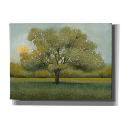 Image of 'Sunrise II' by Tim O'Toole, Canvas Wall Art