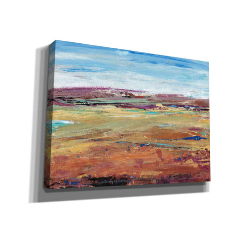 Image of 'Terra Vista I' by Tim O'Toole, Canvas Wall Art