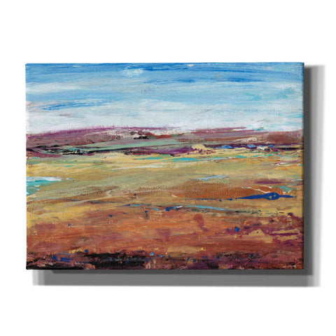 Image of 'Terra Vista I' by Tim O'Toole, Canvas Wall Art