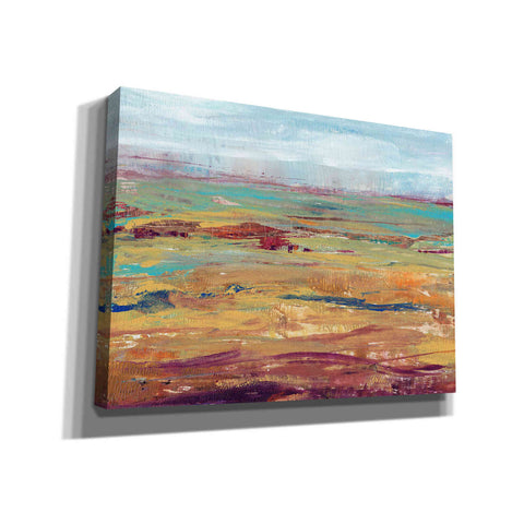 Image of 'Terra Vista II' by Tim O'Toole, Canvas Wall Art