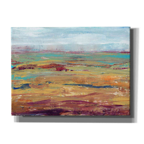 Image of 'Terra Vista II' by Tim O'Toole, Canvas Wall Art