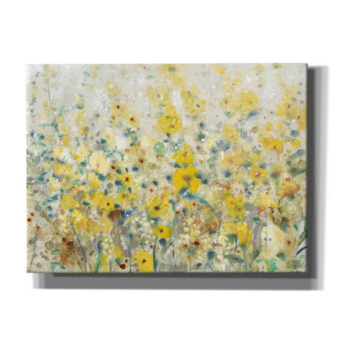 Image of 'Cheerful Garden II' by Tim O'Toole, Canvas Wall Art
