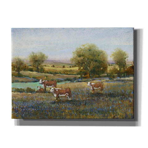 Image of 'Field of Cattle II' by Tim O'Toole, Canvas Wall Art