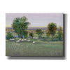 'Field of Sheep II' by Tim O'Toole, Canvas Wall Art