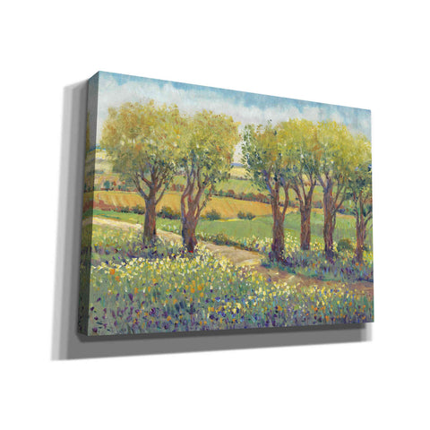 Image of 'Garden Path I' by Tim O'Toole, Canvas Wall Art