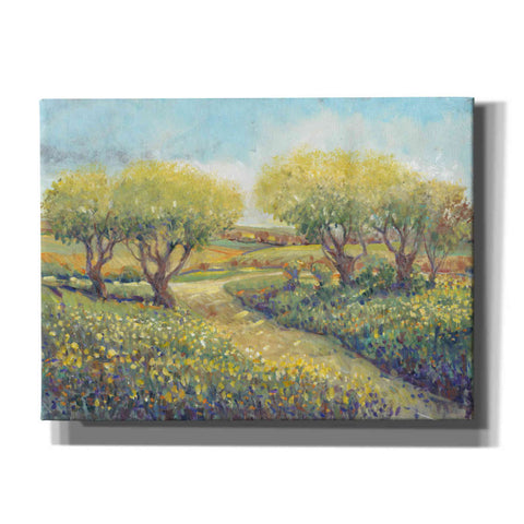 Image of 'Garden Path II' by Tim O'Toole, Canvas Wall Art
