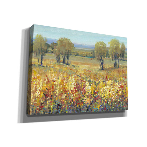 Image of 'Golden Fields II' by Tim O'Toole, Canvas Wall Art