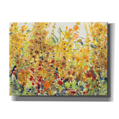 Image of 'Golden Summer Garden II' by Tim O'Toole, Canvas Wall Art