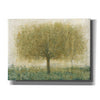 'Summer Day Tree I' by Tim O'Toole, Canvas Wall Art