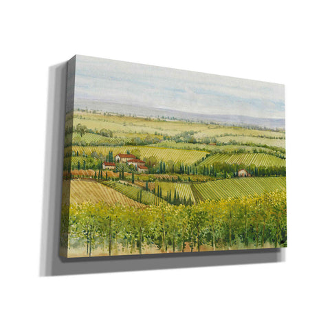 Image of 'Wine Country View I' by Tim O'Toole, Canvas Wall Art