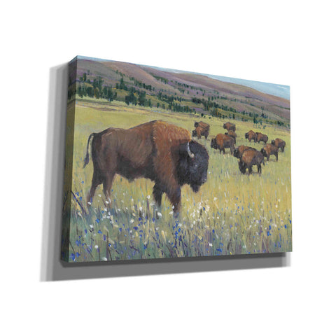Image of 'Animals of the West I' by Tim O'Toole, Canvas Wall Art