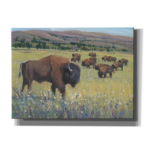 Image of 'Animals of the West I' by Tim O'Toole, Canvas Wall Art