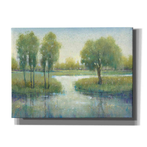 Image of 'Winding River I' by Tim O'Toole, Canvas Wall Art
