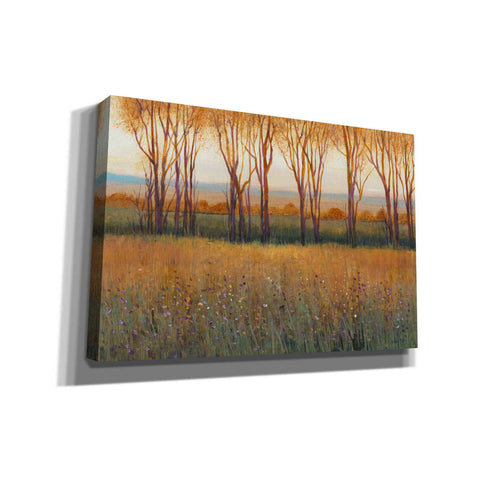 Image of 'Glow in the Afternoon II' by Tim O'Toole, Canvas Wall Art