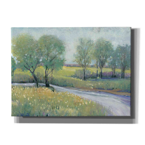 Image of 'Summer Stream I' by Tim O'Toole, Canvas Wall Art