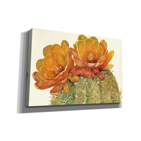 Image of 'Cactus Blossoms II' by Tim O'Toole, Canvas Wall Art