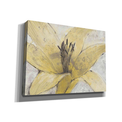 Image of 'Transparency Flower I' by Tim O'Toole, Canvas Wall Art