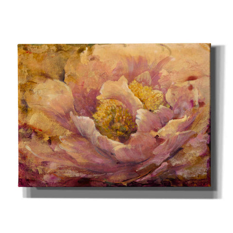 Image of 'Floral in Bloom I' by Tim O'Toole, Canvas Wall Art