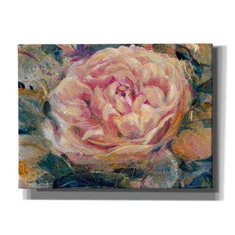 Image of 'Floral in Bloom IV' by Tim O'Toole, Canvas Wall Art