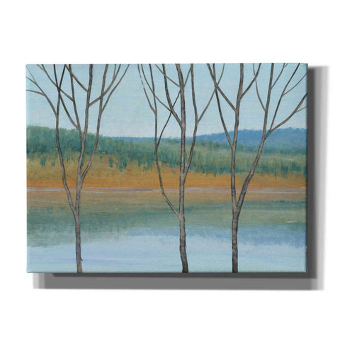 Image of 'Between Water III' by Tim O'Toole, Canvas Wall Art