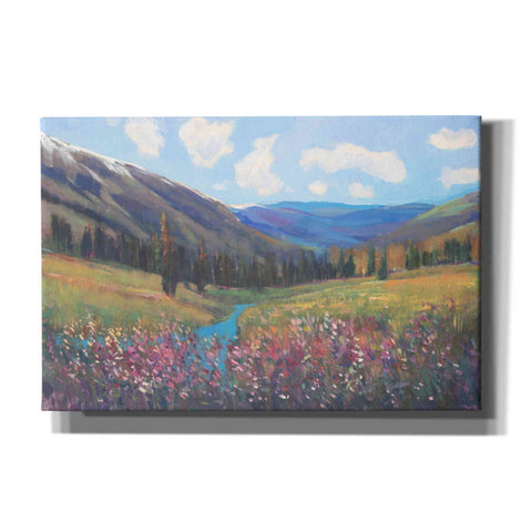 Image of 'Mountain Pass II' by Tim O'Toole, Canvas Wall Art