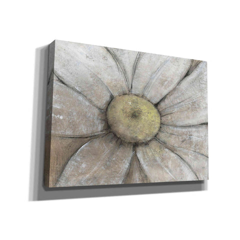 Image of 'Close-Up Daisy II' by Tim O'Toole, Canvas Wall Art