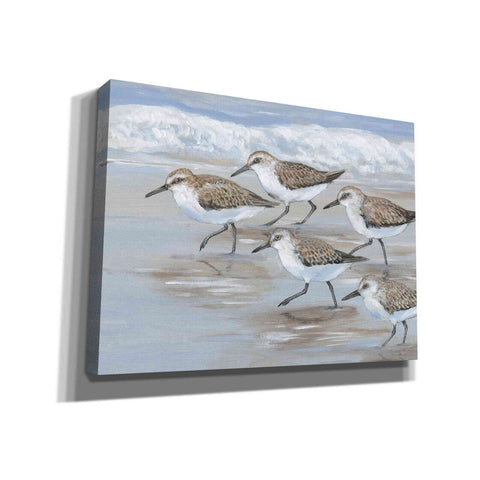Image of 'Sandpipers I' by Tim O'Toole, Canvas Wall Art