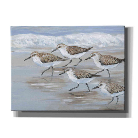 Image of 'Sandpipers I' by Tim O'Toole, Canvas Wall Art
