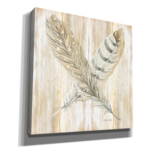 'Feathers Crossed II' by Cindy Jacobs, Canvas Wall Art