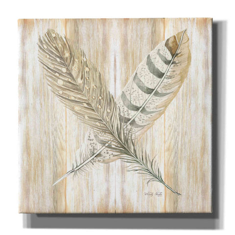 Image of 'Feathers Crossed II' by Cindy Jacobs, Canvas Wall Art