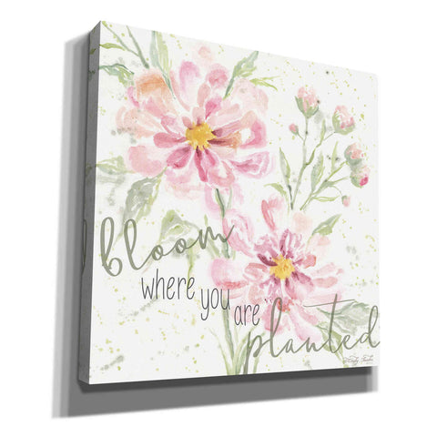 Image of 'Bloom Where You are Planted' by Cindy Jacobs, Canvas Wall Art