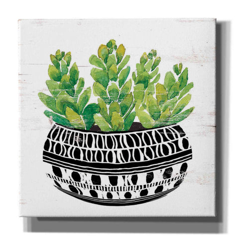 Image of 'Mud Cloth Succulent IV' by Cindy Jacobs, Canvas Wall Art