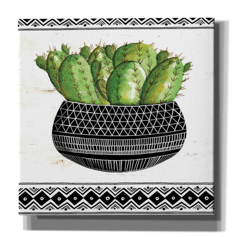 Image of 'Mud Cloth Black and White Succulent I' by Cindy Jacobs, Canvas Wall Art