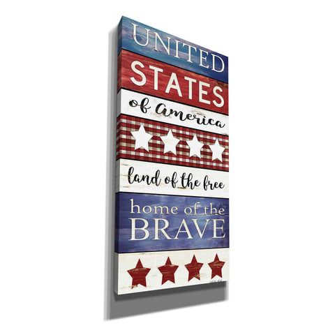 Image of 'United States Panel' by Cindy Jacobs, Canvas Wall Art