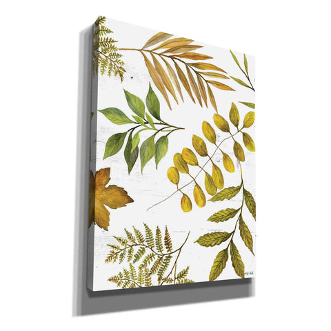 Image of 'Leaf Patterns I' by Cindy Jacobs, Canvas Wall Art
