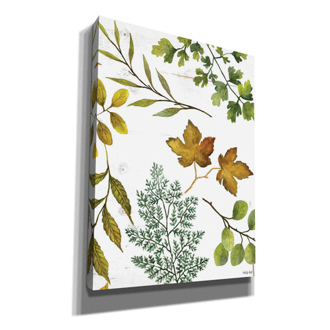 Image of 'Leaf Patterns II' by Cindy Jacobs, Canvas Wall Art