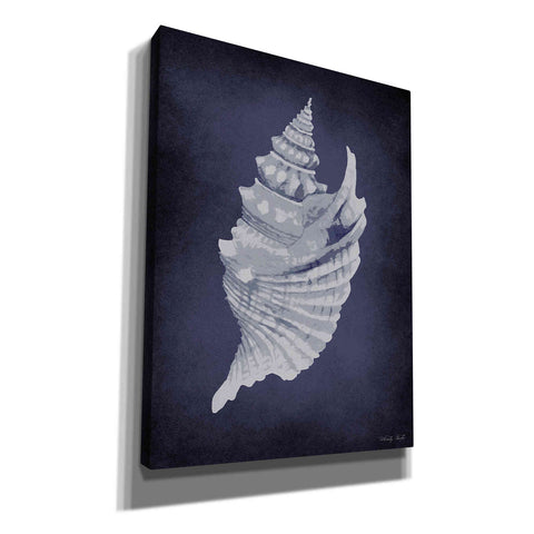 Image of 'Blue Seashell I' by Cindy Jacobs, Canvas Wall Art