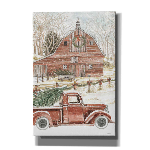 Image of 'Christmas Trees for the Holidays' by Cindy Jacobs, Canvas Wall Art