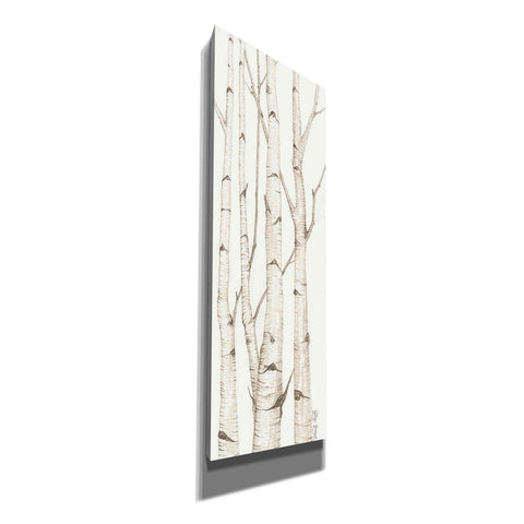 Image of 'Birch Trees I' by Cindy Jacobs, Canvas Wall Art