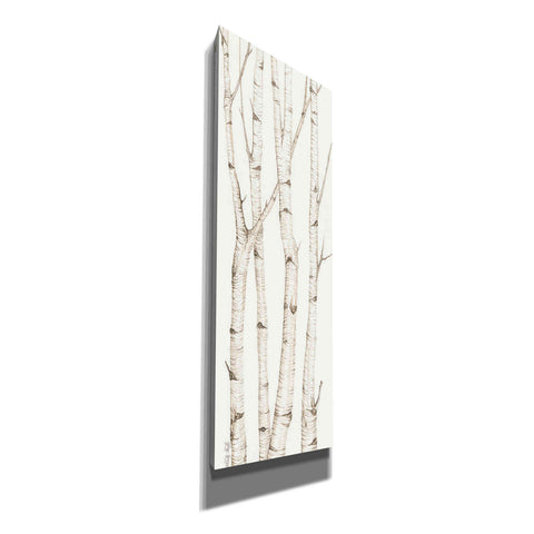 Image of 'Birch Trees III' by Cindy Jacobs, Canvas Wall Art