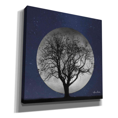 Image of 'Full Moon' by Lori Deiter, Canvas Wall Art