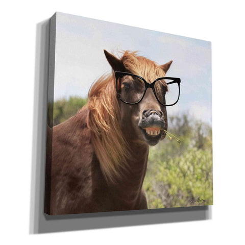 Image of 'Say Cheese Horse' by Lori Deiter, Canvas Wall Art