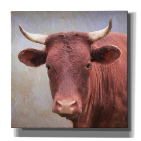 Image of 'Bull Face' by Lori Deiter, Canvas Wall Art
