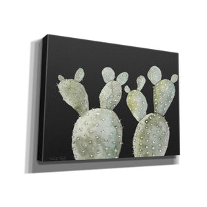 'Happy Cactus II' by Cindy Jacobs, Canvas Wall Art
