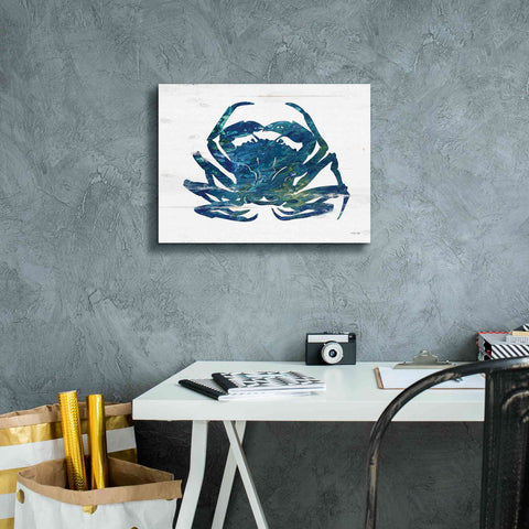Image of 'Blue Coastal Crab' by Cindy Jacobs, Canvas Wall Art,16 x 12