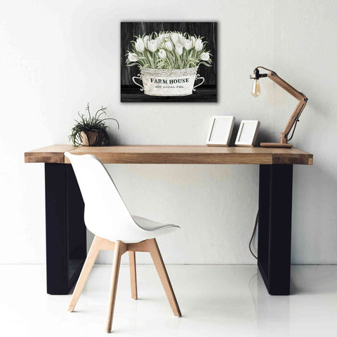 Image of 'Farmhouse Tulips' by Cindy Jacobs, Canvas Wall Art,24 x 20