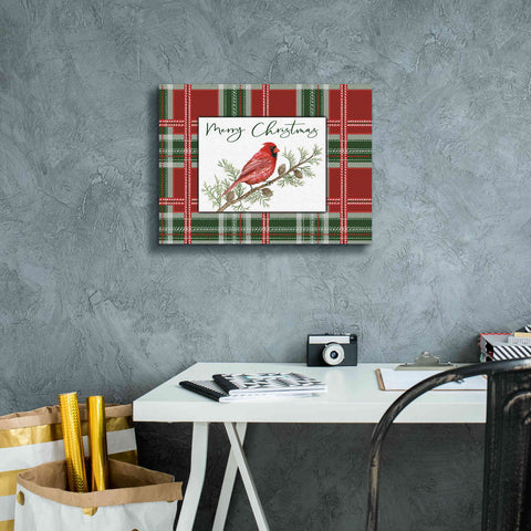 Image of 'Merry Christmas Cardinal' by Cindy Jacobs, Canvas Wall Art,16 x 12