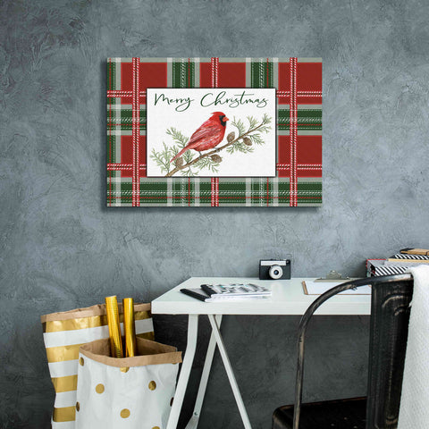 Image of 'Merry Christmas Cardinal' by Cindy Jacobs, Canvas Wall Art,26 x 18