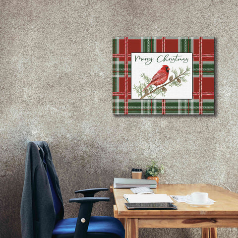 Image of 'Merry Christmas Cardinal' by Cindy Jacobs, Canvas Wall Art,34 x 26