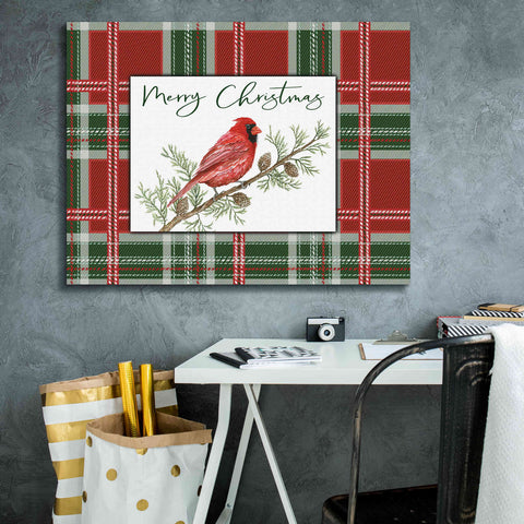 Image of 'Merry Christmas Cardinal' by Cindy Jacobs, Canvas Wall Art,34 x 26